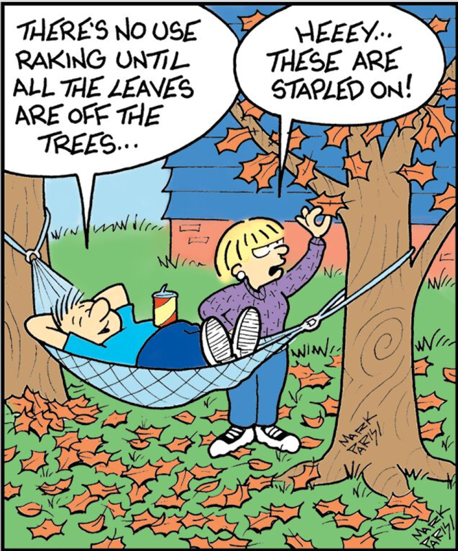 Piadas de outono: duas pessoas olham uma árvore com folhas caindo