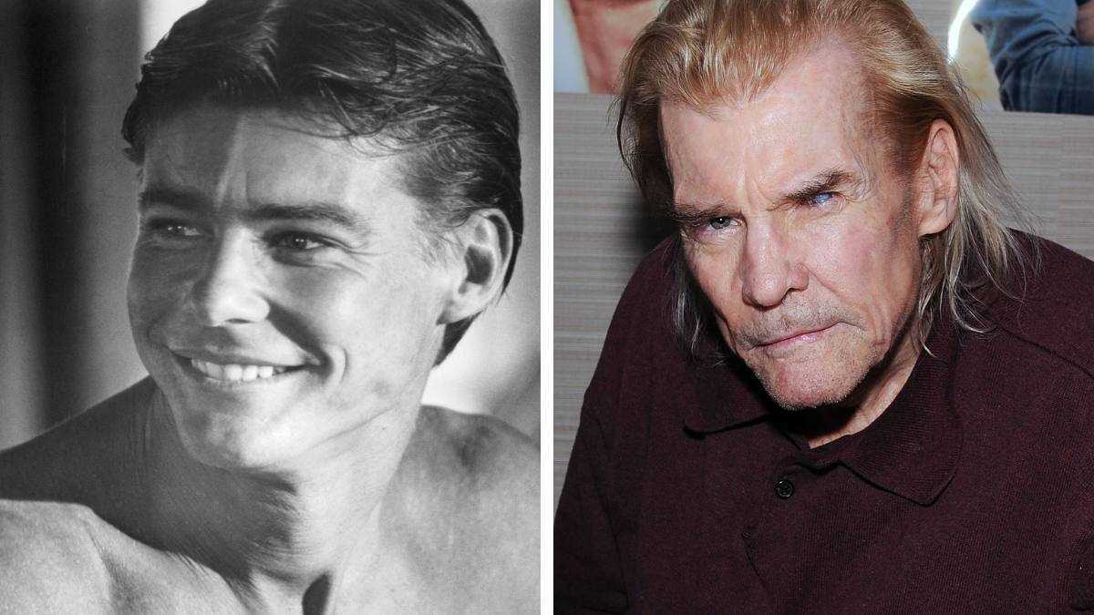Jan-Michael Vincent 스트링펠로우 호크 역
