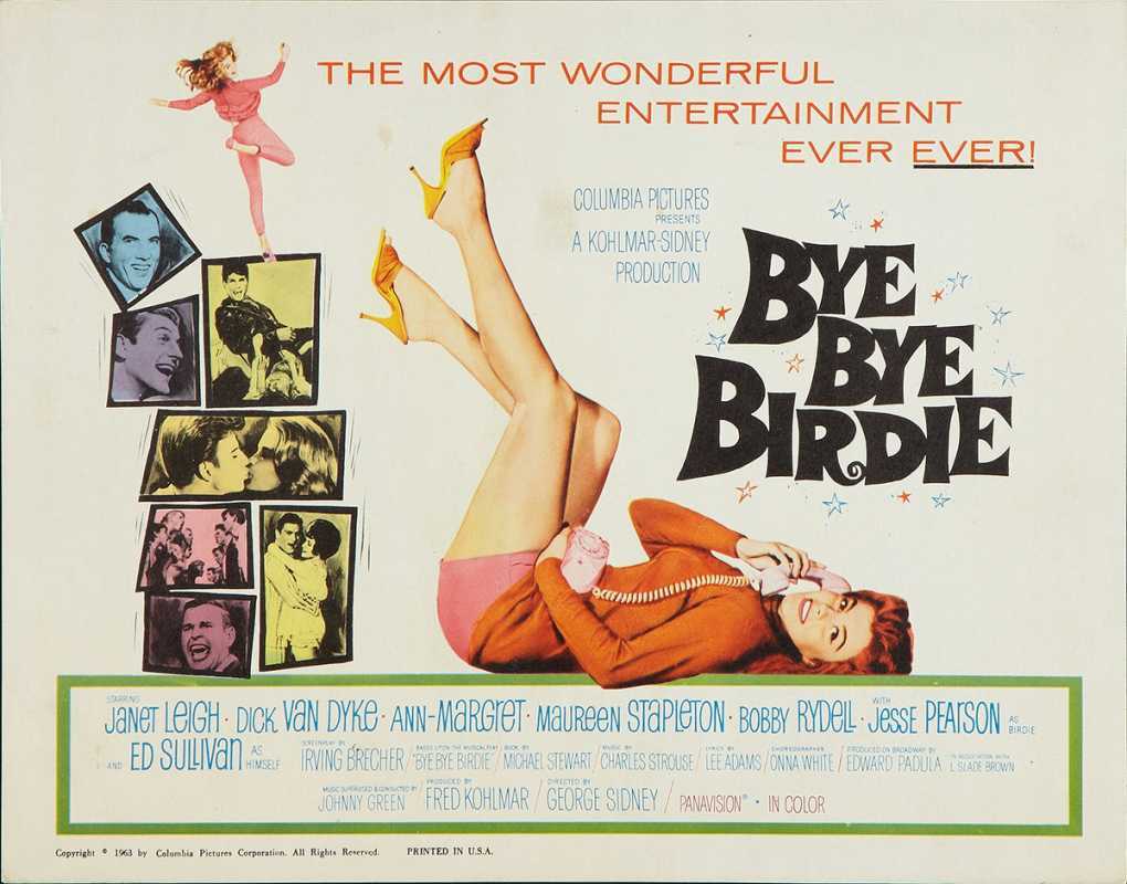 Tạm biệt Birdie