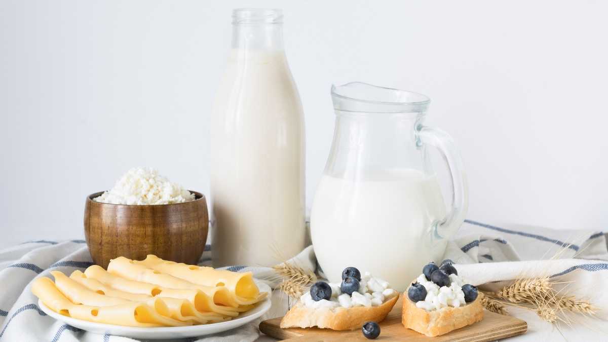 Produtos lácteos, como leite e queijo em uma mesa