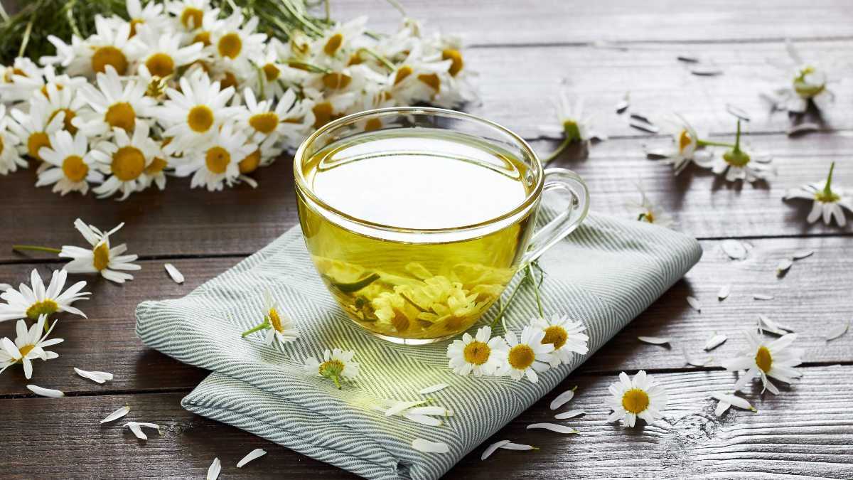 teh kamomil kuning dalam cangkir teh kaca yang dikelilingi bunga kamomil di atas meja