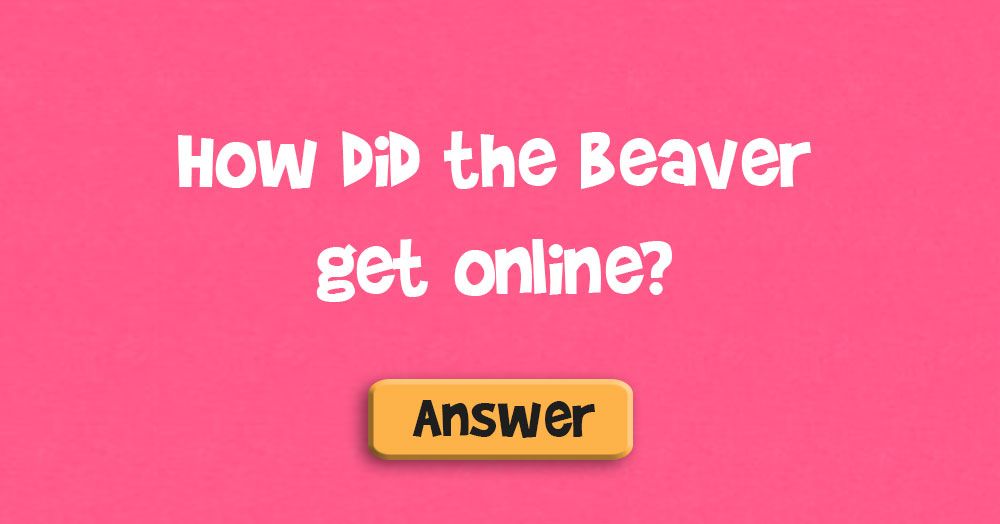 Bagaimana Beaver Mendapat Dalam Talian?