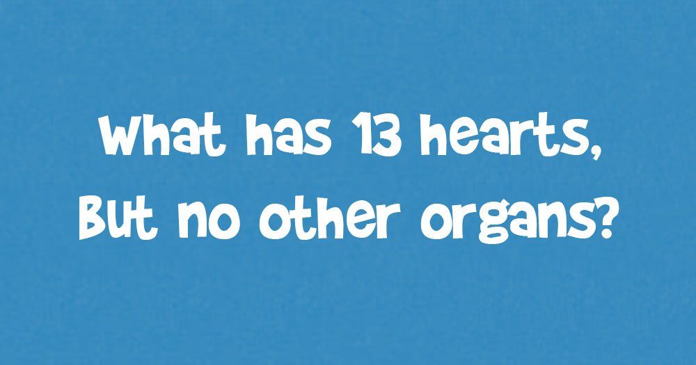 13 دل لیکن دوسرے اعضاء کا پہیلی جواب نہیں