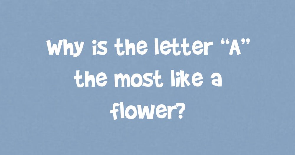 Zakaj je pismo najbolj podobno cvetu?