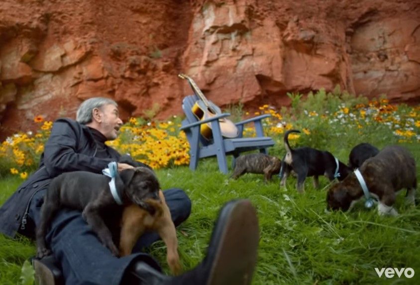 Нийл Даймънд и кученца в музикалното му видео