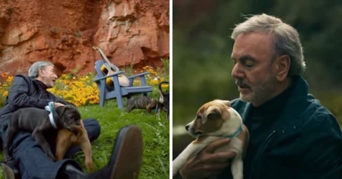Нийл Даймънд взе кученца, осиновени от музикален видеоклип