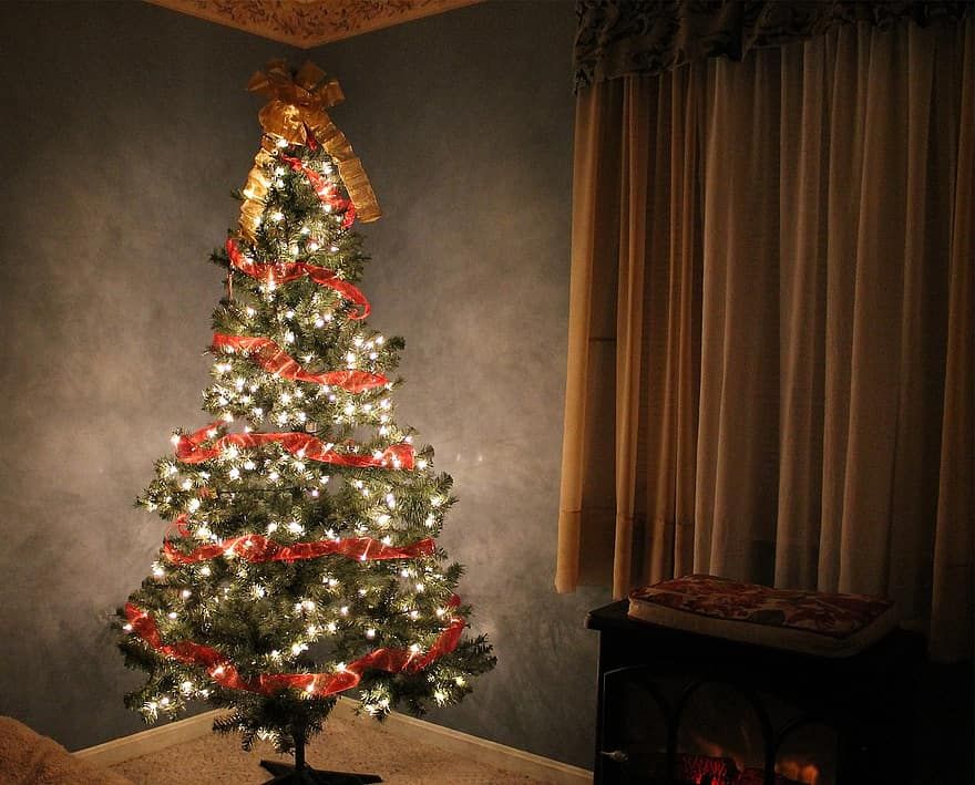 pomanjkanje božičnega drevesa 2020