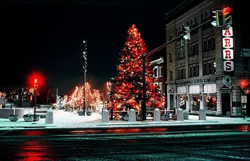 božična drevesa v betlehemu v Pensilvaniji