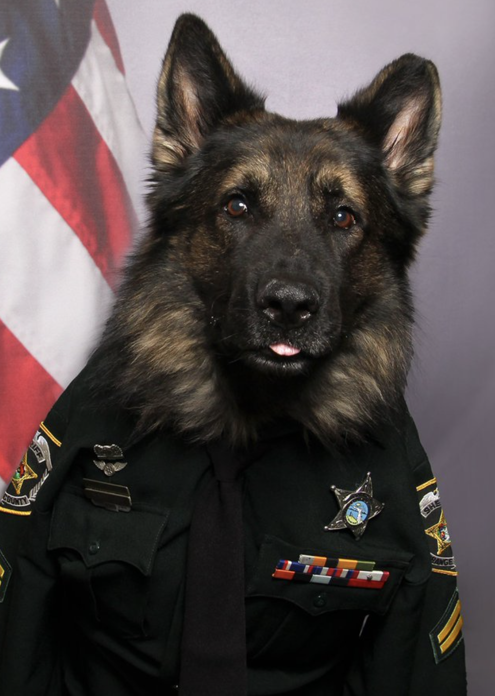 Cachorro da Polícia Rouba a Todos