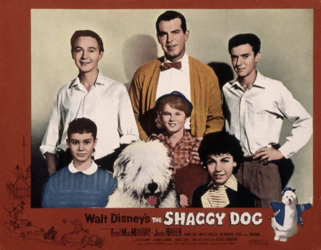 annette-funicello-the-shaggy-dog