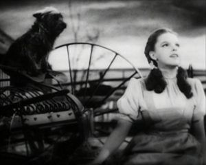 Dorothy e Toto no Kansas.