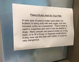 La advertencia menciona específicamente el xilitol, que causa una caída severa en los niveles de azúcar en sangre para los perros.