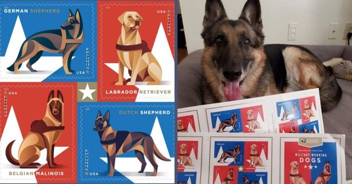 O USPS introduziu selos militares para cães de trabalho