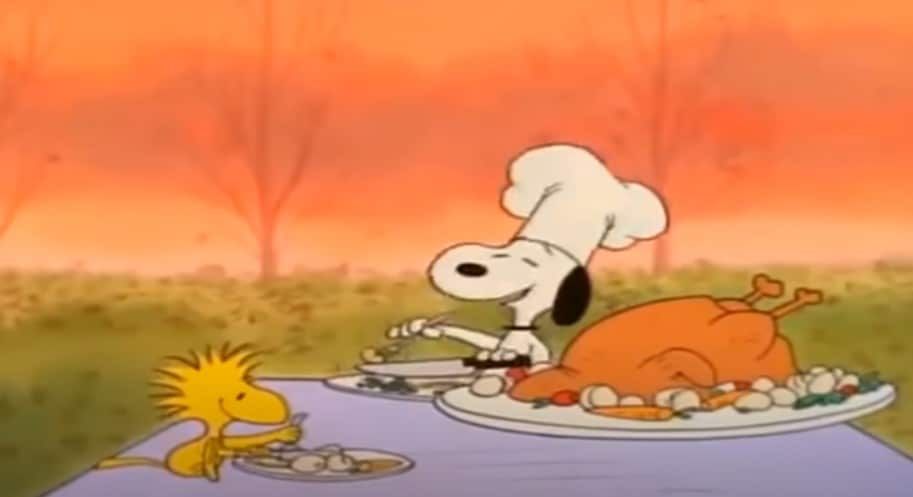 Snoopy a Woodstock díkůvzdání
