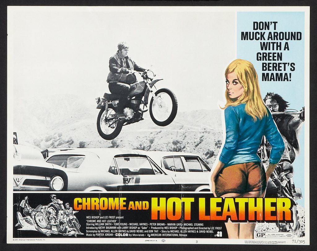 cheryl-ladd-chrom-and-hot-leather